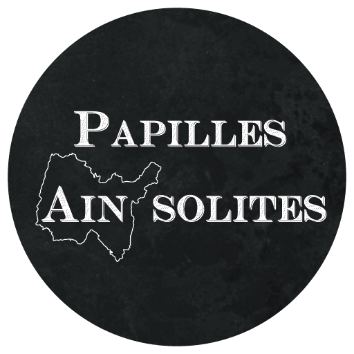 Papillesainsolites logo